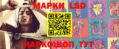молекула духа Донецк