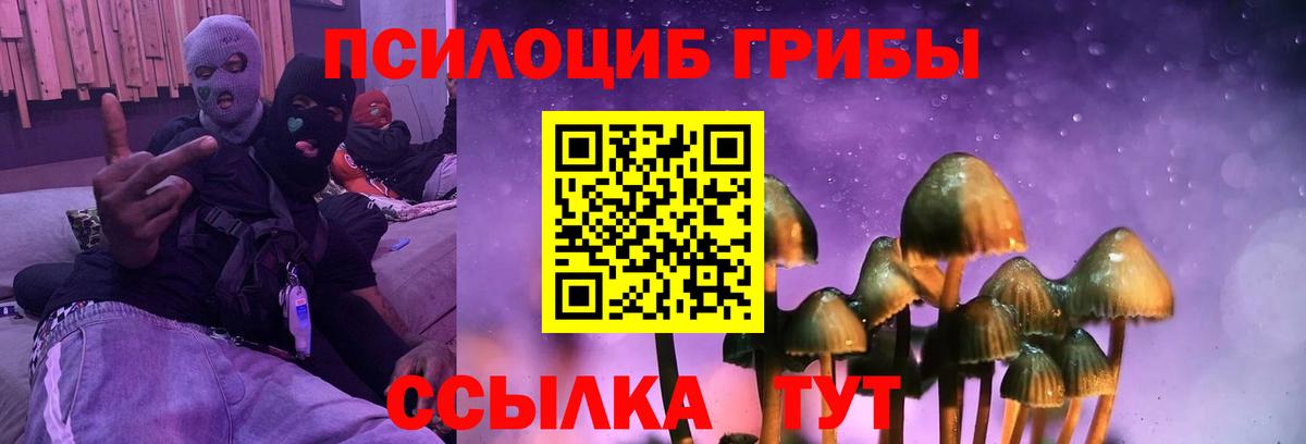 Нальчик  Псилоцибиновые грибы GOLDEN TEACHER  Вход с VPN 